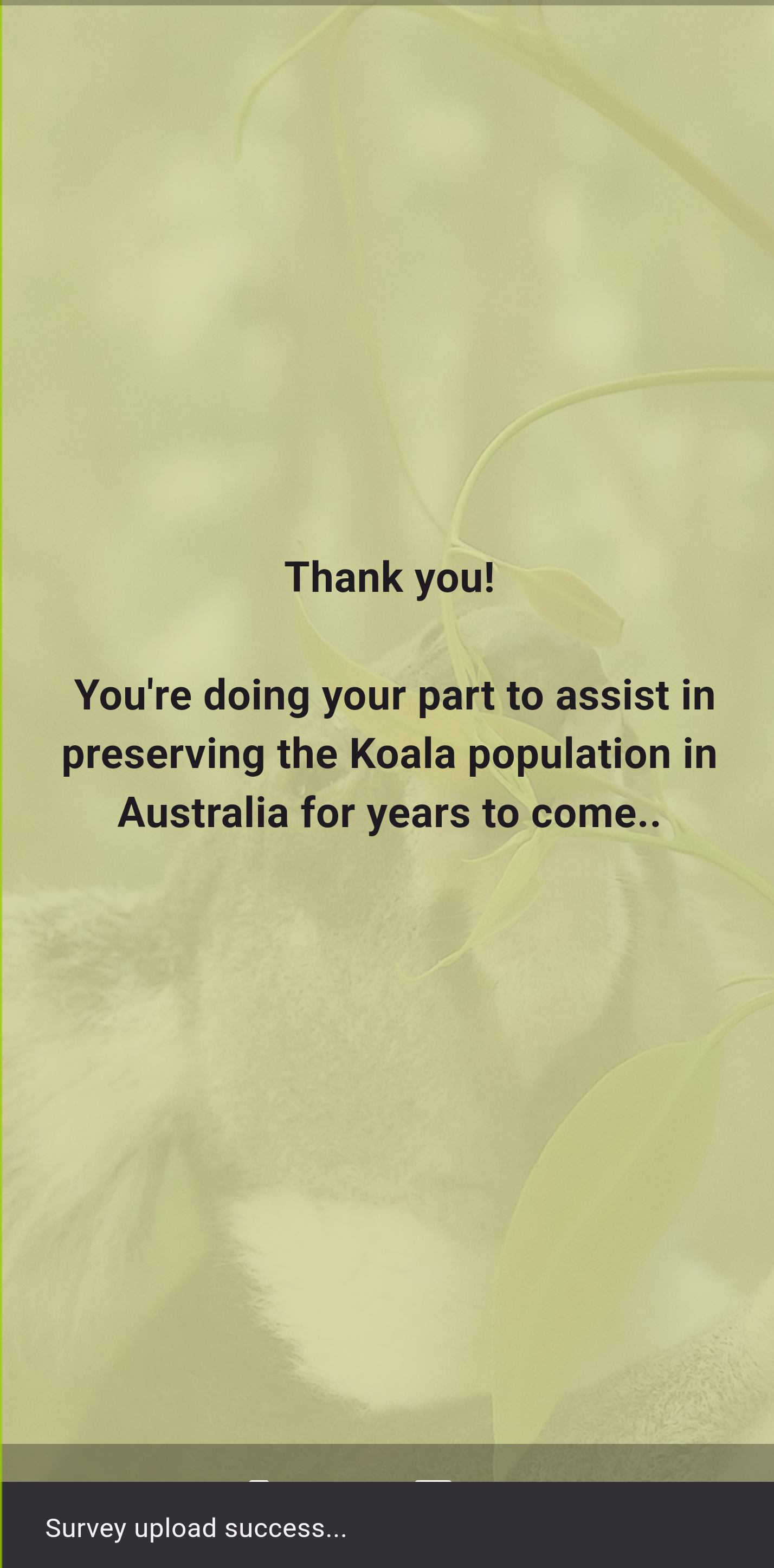 Koala Image